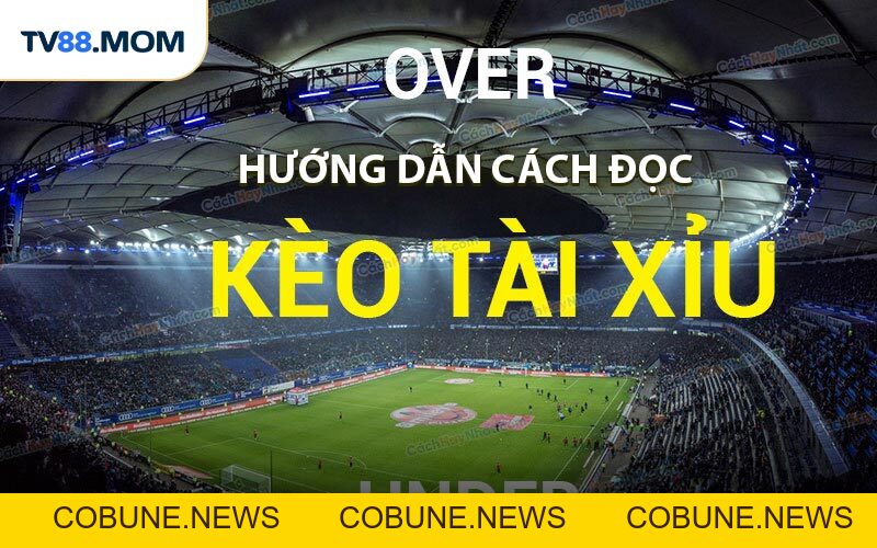 Cách Đọc Kèo Tài Xỉu - Hướng Dẫn Chi Tiết Cho Người Chơi - COBUNE