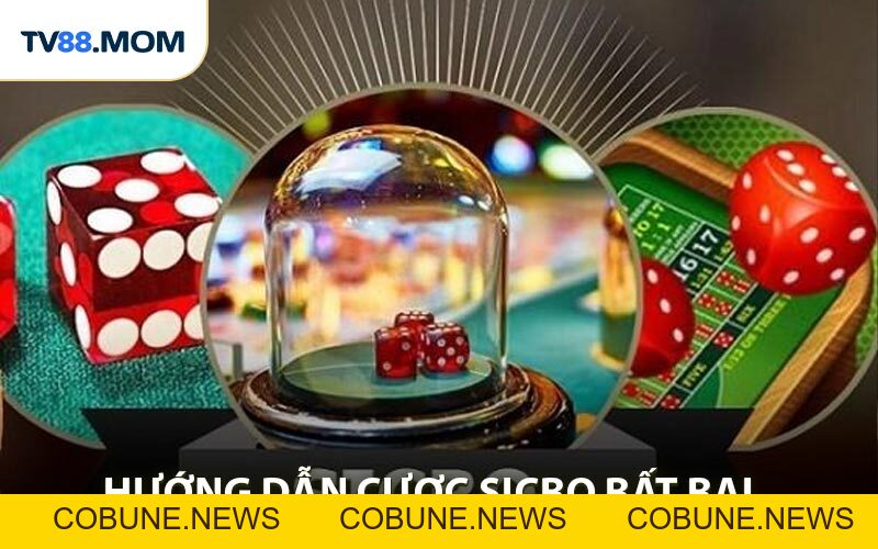 Hướng Dẫn Cược Sicbo Online Đơn Giản Hiểu Thắng Lớn - COBUNE