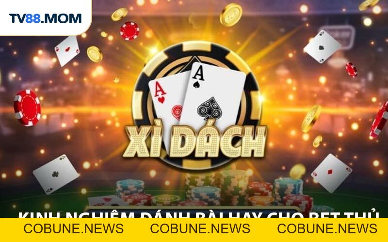 Cách Đánh Xì Dách Online Chuẩn Cho Dành Cho Tân Thủ - COBUNE